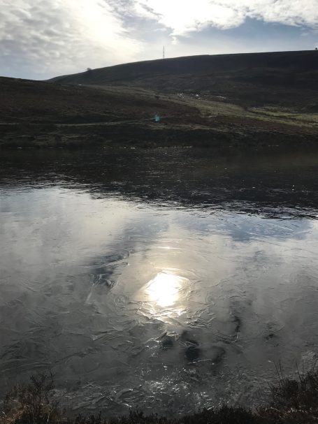 Icy pond